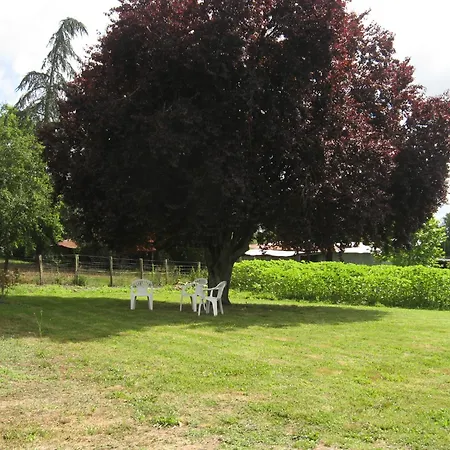 Les Pyreneales Dans Le Madiranais *