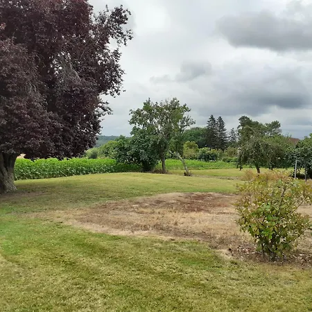Les Pyreneales Dans Le Madiranais