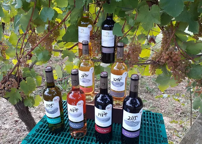 Les Pyreneales Dans Le Madiranais بيت للعطل