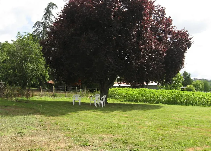 Les Pyreneales Dans Le Madiranais *